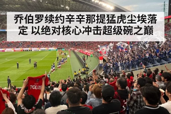 football stadium fans