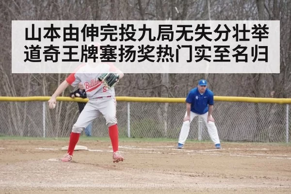 baseball game action