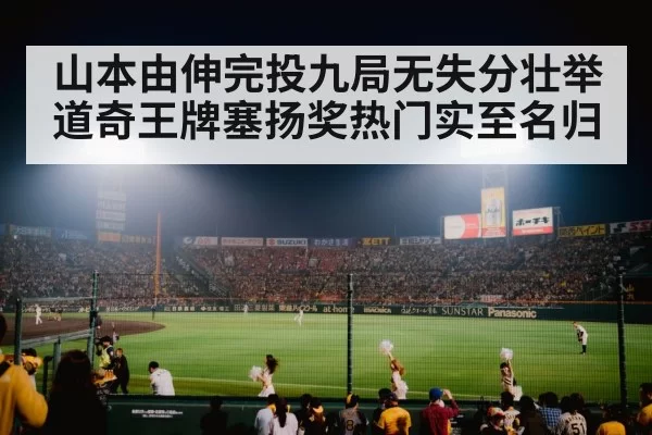 baseball stadium night