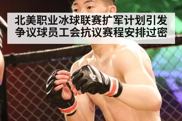 北美职业冰球联赛扩军计划引发争议球员工会抗议赛程安排过密